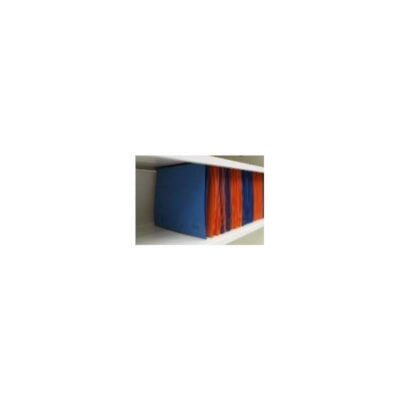 Kovinska omara za arhiv 10 Kovinska omara za arhiv je zaradi svoje velikosti vsestransko uporabna. 4 police / 5 višin za registratorje. Dimenzije: 120x42x195 cm ali 92x50x195 cm ali 92x60x195 cm kovinska omara, polica, obešalne mape